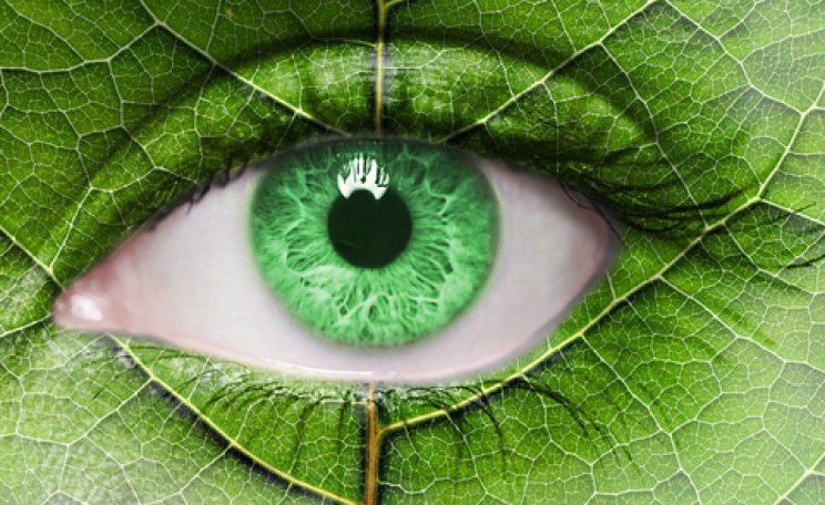 Picture: shutterstock.com.