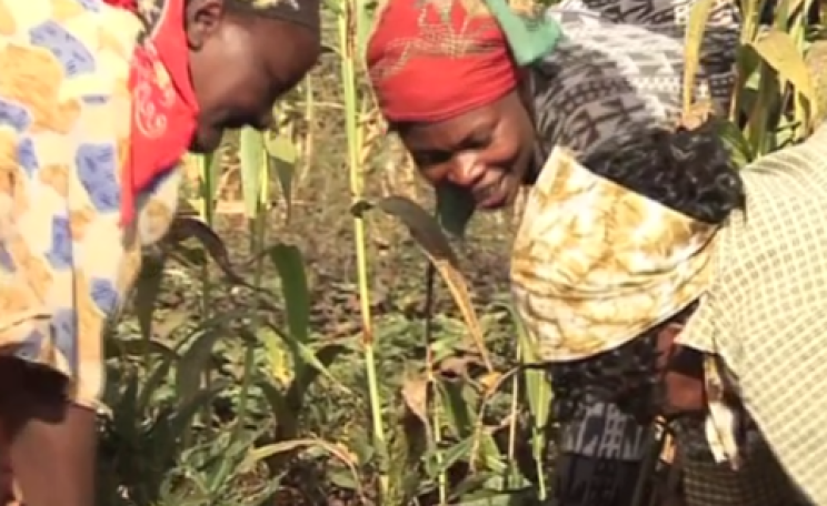 Still from Seeds of Sovereignty.