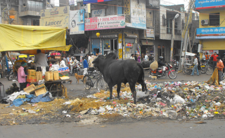 Almost every junction in India's sprawling cities seems to have it's own heap of festering rubbish. Photo:  George Tzilaris / Creative Commons 2.0.