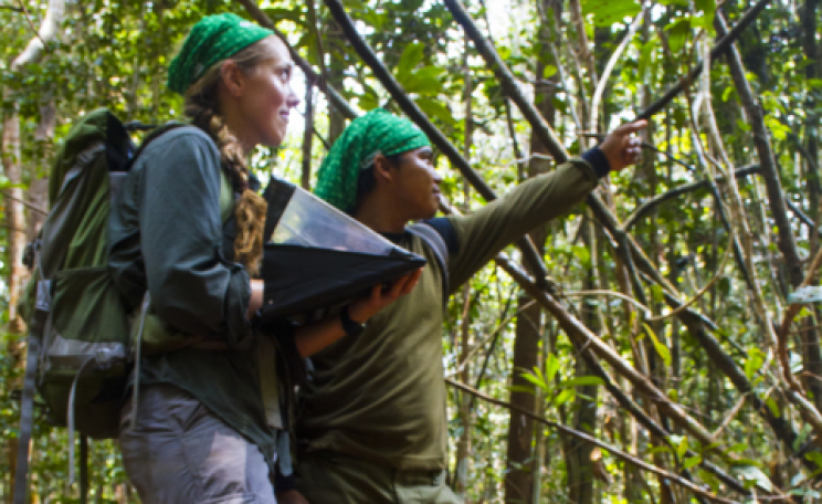OuTrop researchers in the Sabangau Forest. Photo: Matt Adam Williams / OuTrop