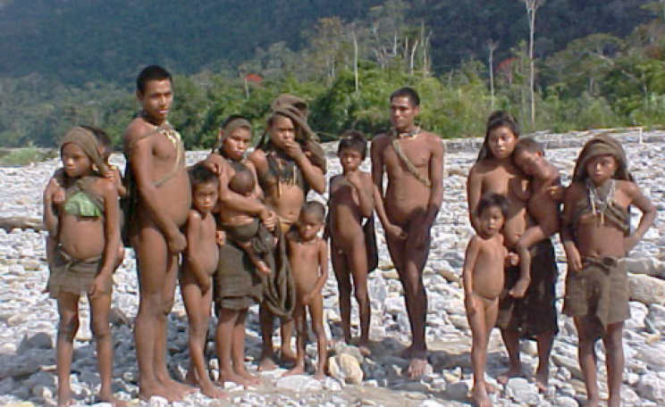 Nanti people on river bank. Photo: © Anonymous / Survival.