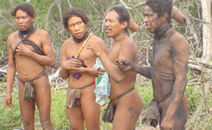 Ranching companies are intent on clearing the last forest refuge of the uncontacted Ayoreo tribe. Photo: © GAT / Survival.