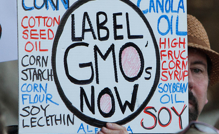 Rally to Support GMO food labeling at Connecticut State Capitol, 21st May 2013. Photo: CT Senate Democrats via Flickr.com.