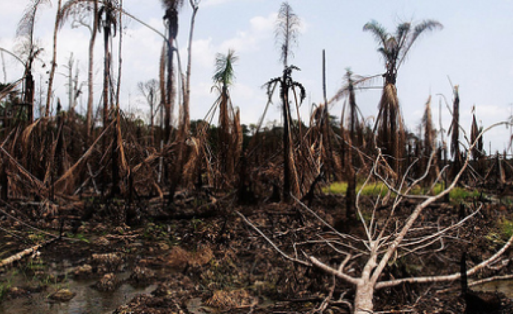An oil spill in the Niger Delta. Photo:  Sosialistisk Ungdom - SU via Flickr.com.