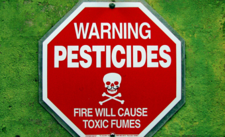 'If we had less pesticide use in the environment we wouldn't have such a problem.' Photo: C.G.P. Grey via Flickr.com.