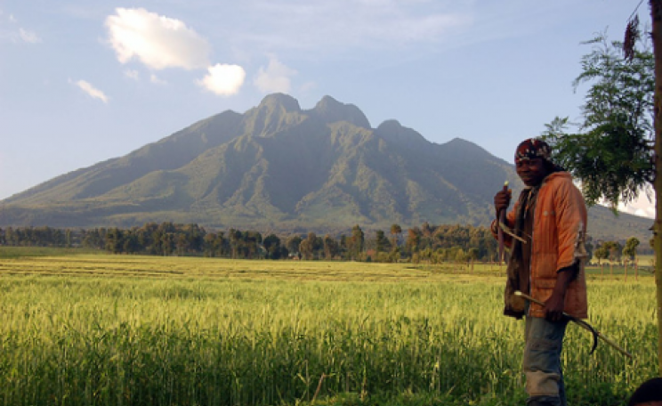 A farm near the Virunga mountains and National Park. Photo: John & Mel Kots via Flickr.com.