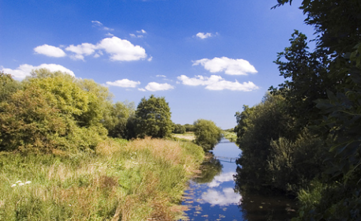 Many of the Somerset Levels's rarest species inhabit the ditches or 'rhynes' that thread the landscape. Photo: Joe Dunckley via Flickr.com.