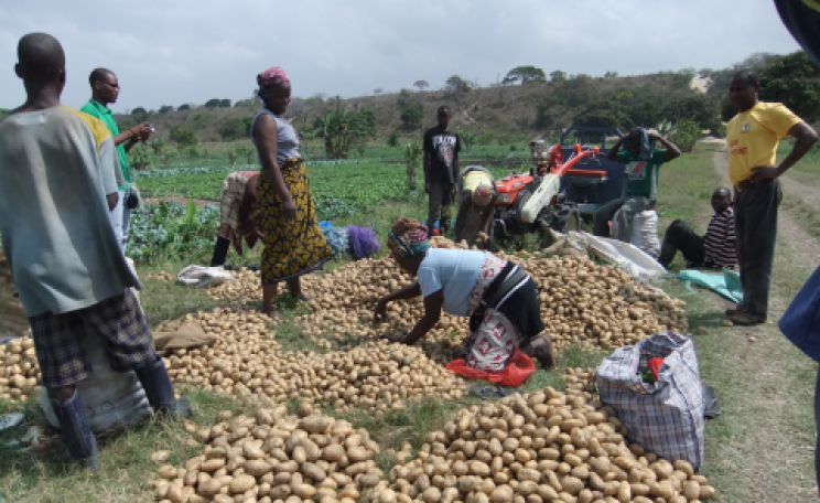 Small-scale farmers in Mozambique - who collectively grow most of Africa's food. Photo:  União Nacional de Camponeses.