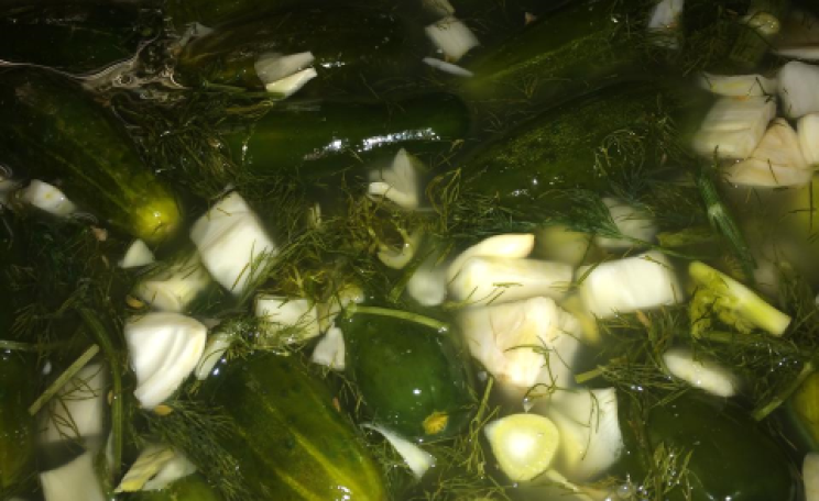 Sour garlic and fennel pickles. Photo: Gary Leybman /  FB Wild Fermentation group.