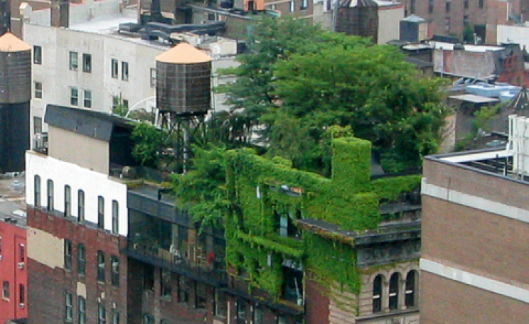 Green growth in lower Manhattan - but is it enough? Photo: Alyson Hurt via Flickr.com.