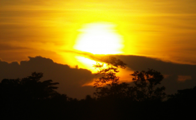 Sunset over the Peruvian Amazon near the Rio Napo. Photo: Ippei Yuge via Flickr.com.