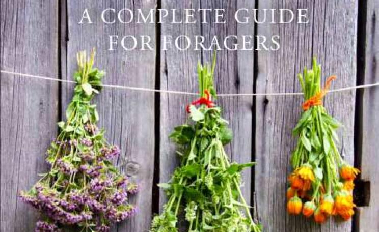 'Wild Food - a complete guide for foragers' by Roger Phillips - front cover.