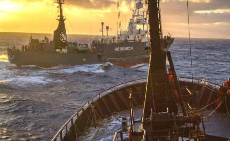 The Yushin Maru crosses the bow of  The Bob Barker at an unsafe distance. Photo: Simon Ager / Sea Shepherd Australia.