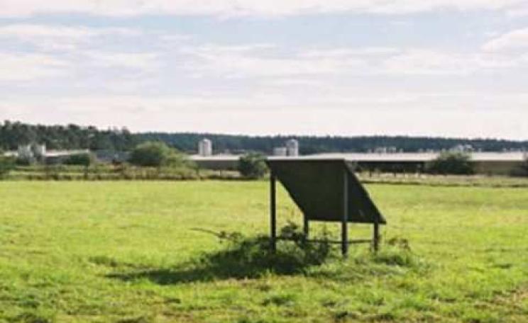 Lety camp - a death camp for Romani people now in the Czech Republic - only has this sign to commemorate those who died. Photo: John Lennon.