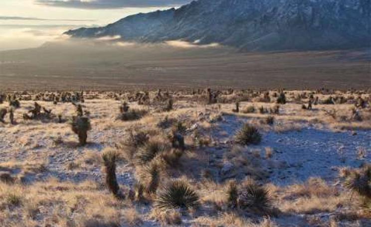 The Organ Mountains of New Mexico, now designated a National Monument. Photo: Bob Wick / BLM California.