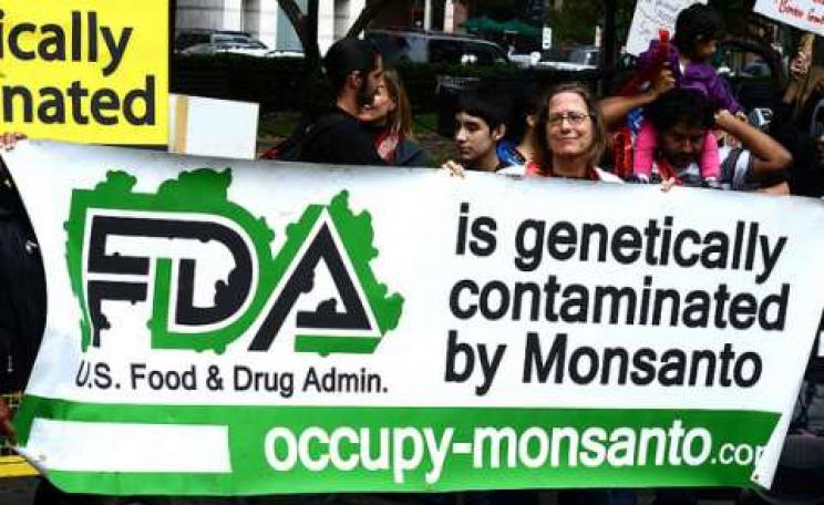 Marching against Monsanto in Washington DC. Photo: Stephen Melkisethian via Flickr.