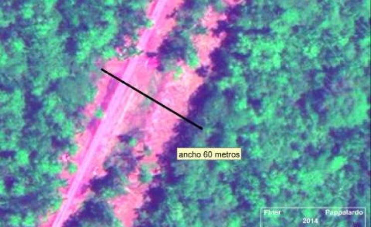 The road is up to 60 metres wide. Photo: Finer M, Pappalardo SE, Ferrarese F, De Marchi M (2014) / geoyasuni.org.