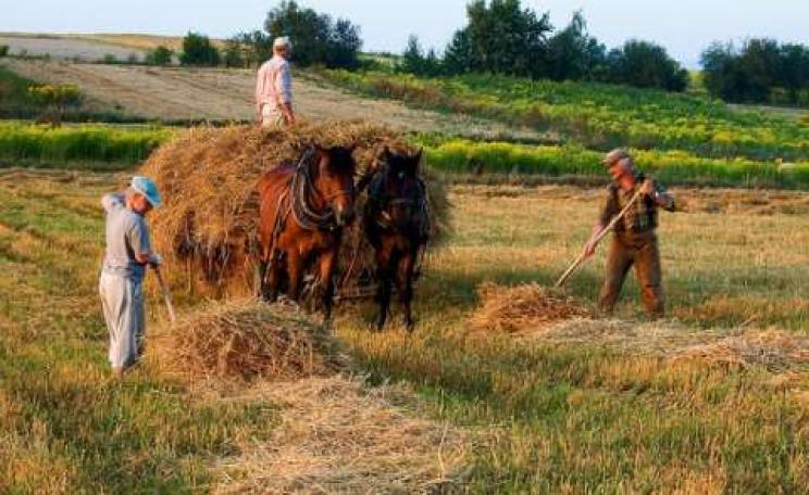 Farming in Poland, the traditional way. Photo: Jejma via Flickr.