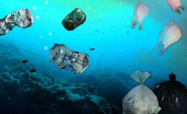 Image: 'New Fish' by Elena Caldera.