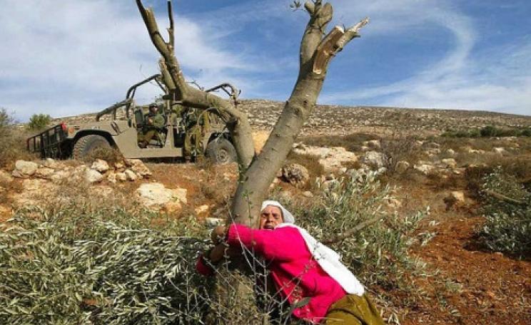 A Palestinian woman hugs an olive tree to protect it from destruction by the Israeli army. Photo: via Frank M. Rafik / Flickr.
