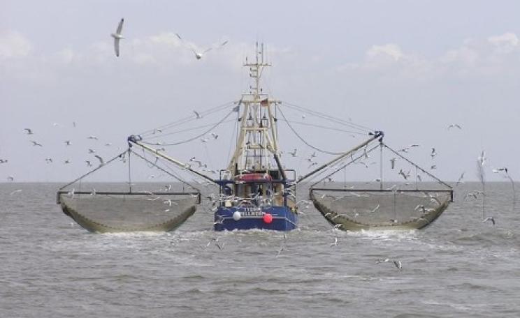A dragnet that captures too much marine life. Joachim Müllerchen, CC BY-SA.