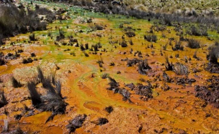 Would you like this to happen to your land? The 'revegetated area' of the Yanacocha mine in Maqui Maqui, Peru, after 10 years of gold mining. Photo: Abramovich / Wikimedia Commons.