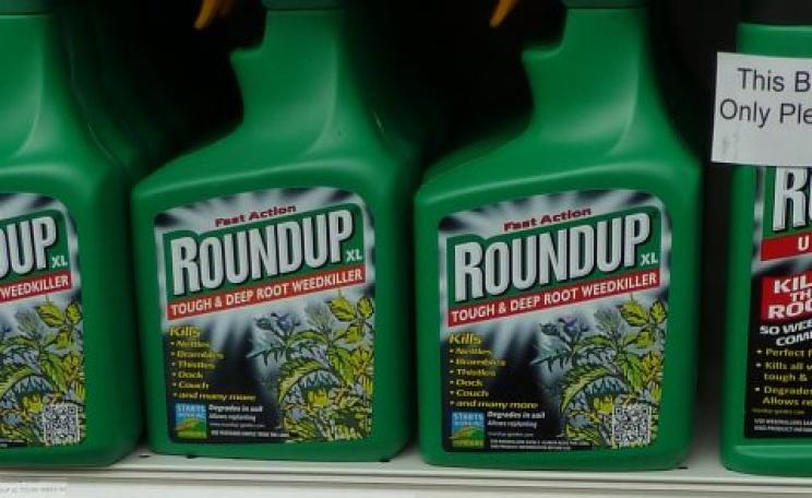 It's the RoundUp, stupid! Photo: London Permaculture via Flickr.