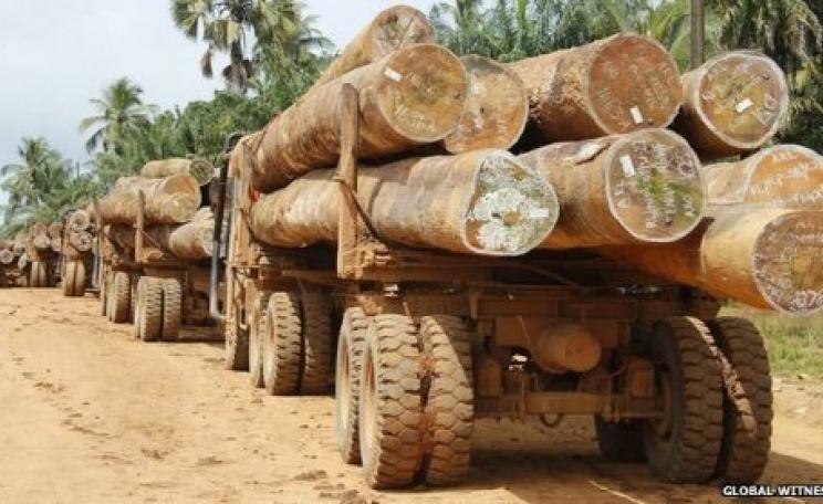 Less of this ... Liberia is one of the countries to sign the Declaration, and will aim to end deforestation by 2020. Photo: Global Witness.
