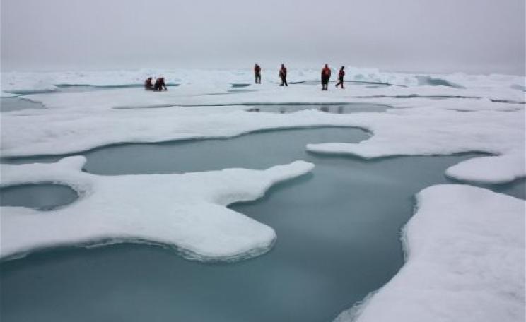 Melting point: researchers study Arctic sea ice and melt ponds on the Chuckchi Sea. Photo: Kathryn Hansen / NASA via Wikimedia Commons.
