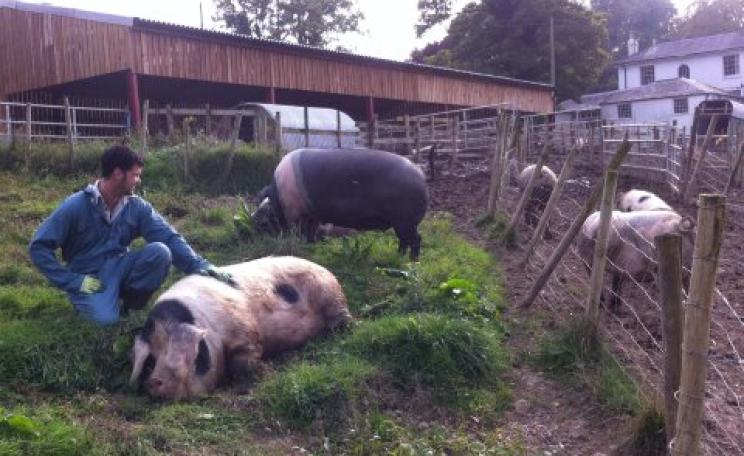 'Small holder farming traditions run through my blood; there was no other way I would choose to farm, I would never run a farm that was cruel.' Tom, Bellair Haye Farm. Photo: Pig Pledge.