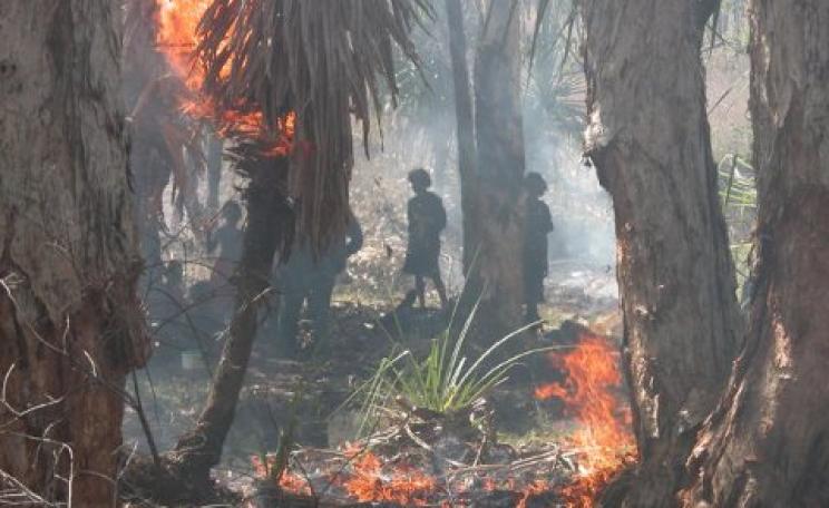 Indigenous land-owners living comfortably in a land of fire in Arnhem Land. Photo: John Woinarski.