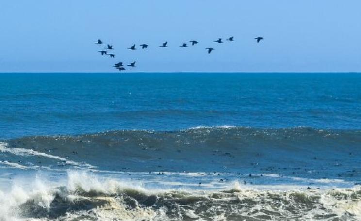Getting warmer far faster than thought - the Atlantic Ocean at Cape Cross, Namibia. Photo: jbdodane via Flickr.