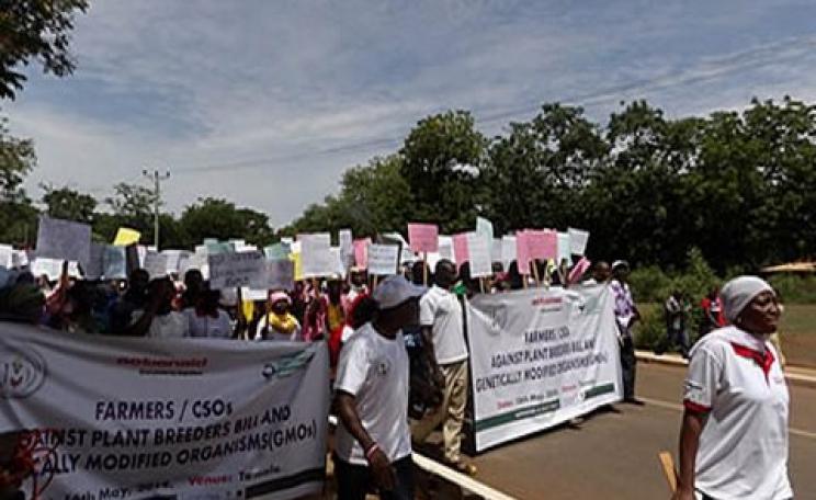 Farmers in Ghana marching against the Plant Breeders Bill, now before the country's parliament, September 2014. Photo: Food Sovereignty Ghana.