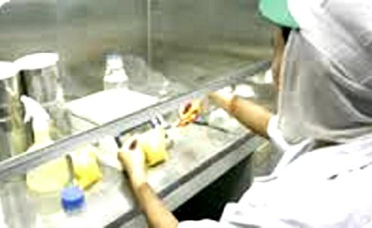 A worker at the Natural Fruit factory. Photo from naturalfruit.co.th.