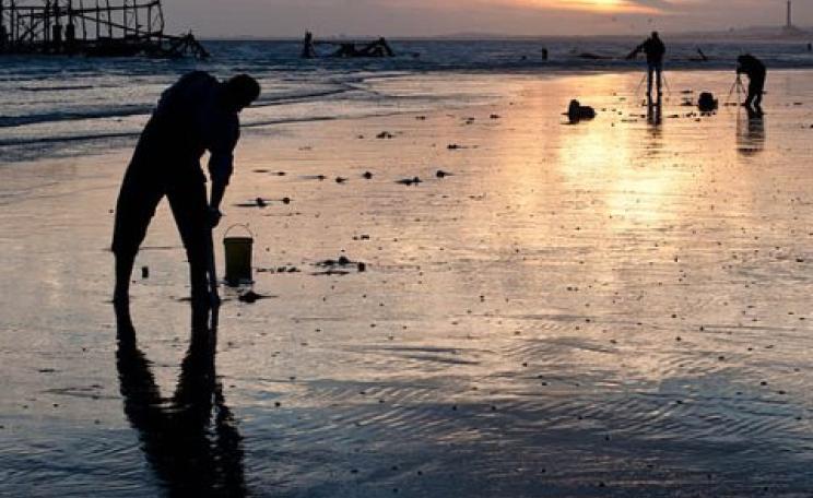 Hunting for lugworms for fishing bait at Brighton beach. Photo: Martin Thomas via Flickr.