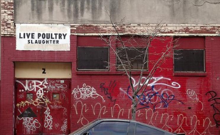 'The view from my sister's window'. Greenpoint, NY, NY. Photo: Susan via Flickr.