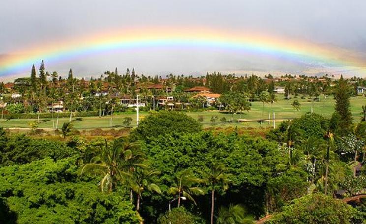 Maui: way too great to ravage with GMOs and associated agrochemicals. Photo: Randy Robertson via Flickr.