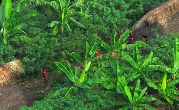 The forest territories of the Amazon's indigenous peoples are essential for their own survival, their biodiversity, and the carbon they contain. But their precious lands are under growing threat. Photo: Gleilson Miranda/Governo do Acre / Wikimedia Commons