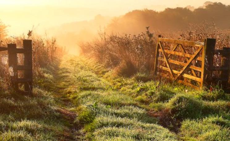 There is another way to farm - and the future is bright! Photo: Tony Armstrong via Flickr, CC BY-NC-ND 2.0.