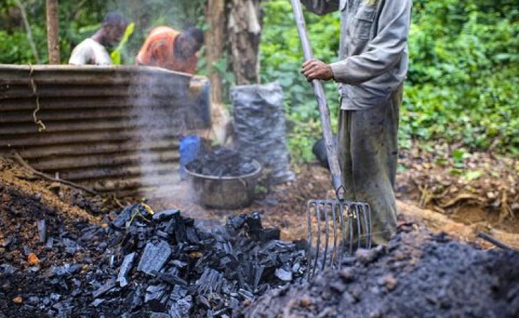 Photo: Olivier Girard for Center for International Forestry Research (CIFOR) via Flickr (CC BY-NC-ND 2.0).