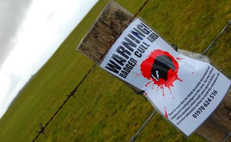 If only badgers could read. Photo: jayneandd (CC BY 4.0).