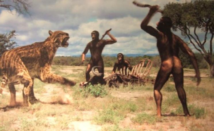 Mind who you call stupid ... Palaeolithic men and tiger, Africa, 100,000 - 2,000,000 years ago. Image: via cantabriatotal.com.
