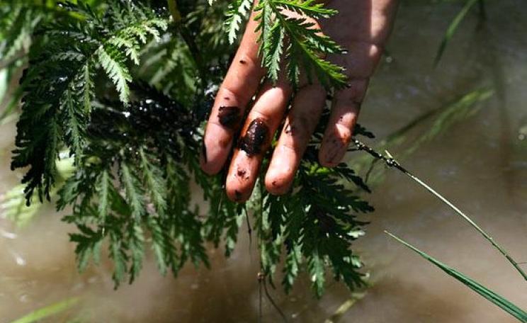 Oil in Montana's Yellowstone River, July 2011. Photo:  Alexis Bonogofsky / NWFblogs via Flickr (CC BY-NC-ND 2.0).
