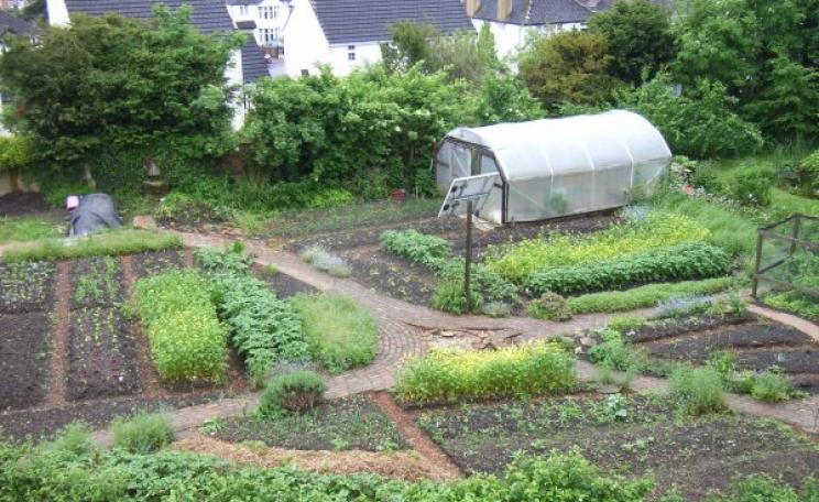 The GREEN research garden in Stroud, Gloucestershire, which generated eight years of research data. Photo: Matt Adams.