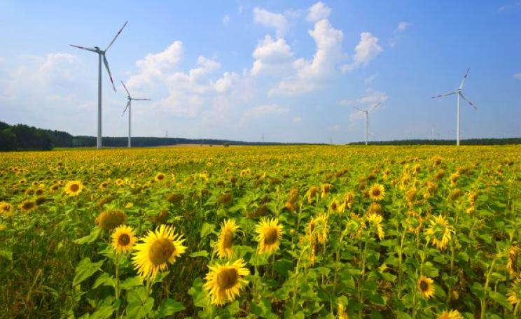Building Hinkley C will damage renewable energy projects like this: Greenpeace Energy's Buchhain wind park. Photo: © Marc-Oliver Schulz / Greenpeace Energy eG.