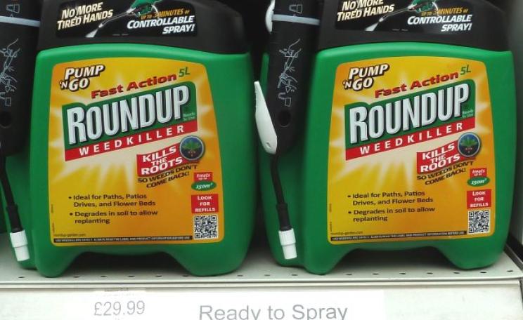 No, Monsanto's 'Roundup' glyphosate-based herbicide is not safe enough to drink. It's 'probably carcinogenic to humans' - and that's official! Photo: London Permaculture via Flickr (CC BY-NC-SA 2.0)