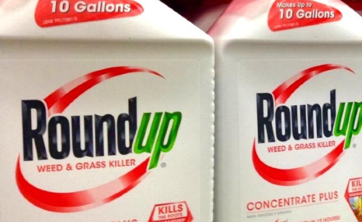 Monsanto's Roundup herbicide contains Glyphosate, one of the three herbicides that causes antibiotic resistance on pathogenic bacteria. Photo: via Sustainable Food Trust.