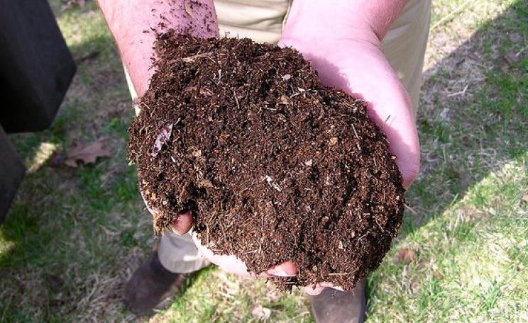 Real farming is all about sustaining healthy and abundant soil life - and applying compost is an important way to revitalise depleted soils. Photo: normanack via Flickr (CC BY).