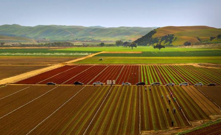 As California's drought bites, its $500 fines for 'water waster' households, but the water's still flowing for the state's powerful agribusiness sector. Photo: Malcolm Carlaw via Flickr (CC BY).