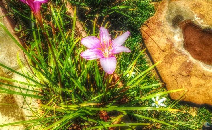 Hope - life is still beautiful! Photo: Iqbal Osman via Flickr (CC BY).